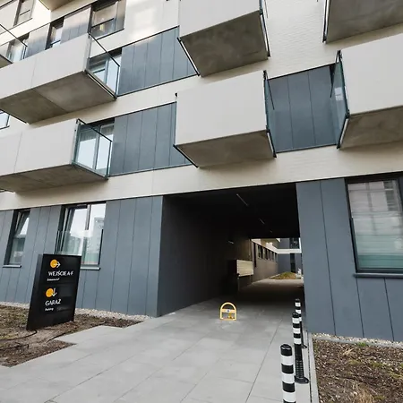 Fiqus Marcelin Deluxe By Bookinghost * 포즈난